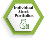 Individual Stock Portfolios